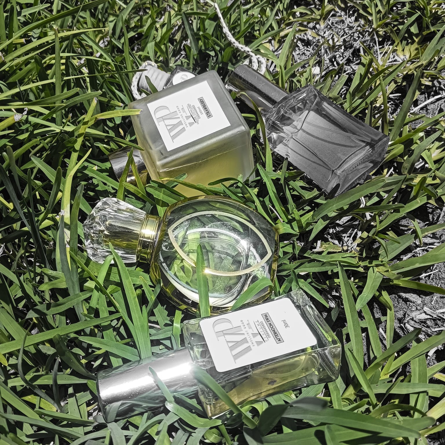 Wholesale & Retail